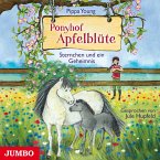 Sternchen und ein Geheimnis / Ponyhof Apfelblüte Bd.7 (1 Audio-CD)