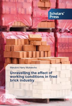 Unravelling the effect of working conditions in fired brick industry - Mukwevho, Marubini Harry