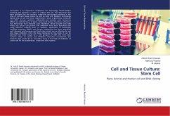 Cell and Tissue Culture: Stem Cell