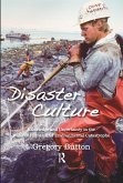 Disaster Culture (eBook, PDF)