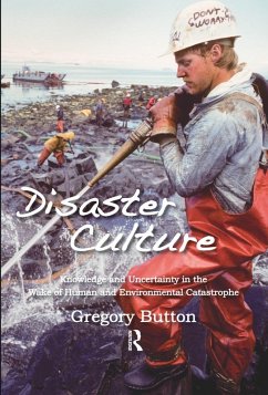 Cover Disaster Culture (eBook, PDF)
