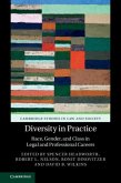 Diversity in Practice (eBook, PDF)