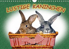 Lustige Kaninchen (Wandkalender 2017 DIN A4 quer) - www.eugenfoto.eu