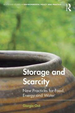 Storage and Scarcity (eBook, PDF) - Osti, Giorgio