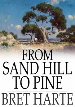 Cover From Sand Hill to Pine (eBook, ePUB)