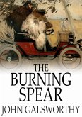 Burning Spear (eBook, ePUB)