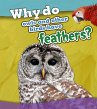 Why Do Owls and Other Birds Have... - Bild 1