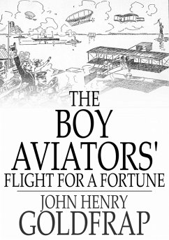 Boy Aviators' Flight for a Fortune (eBook, ePUB) - Goldfrap, John Henry