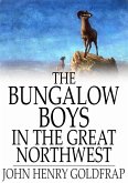 Bungalow Boys in the Great Northwest (eBook, ePUB)