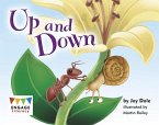 Up and Down (eBook, PDF)