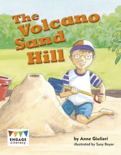Cover Volcano Sand Hill (eBook, PDF)