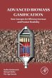 Advanced Biomass Gasification (eBook,... - Bild 1