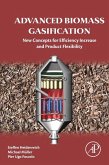 Advanced Biomass Gasification (eBook, ePUB)