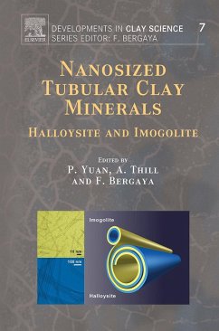 Cover Nanosized Tubular Clay Minerals (eBook, ePUB)