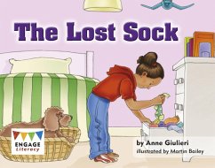 Cover Lost Sock (eBook, PDF)