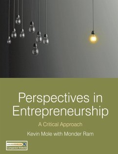 Cover Perspectives in Entrepreneurship (eBook, PDF)