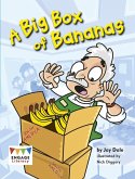 Big Box of Bananas (eBook, PDF)