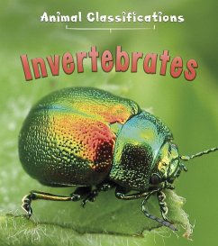 Cover Invertebrates (eBook, PDF)