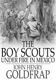 Boy Scouts Under Fire in Mexico (eBook, ePUB)