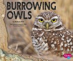 Burrowing Owls (eBook, PDF)