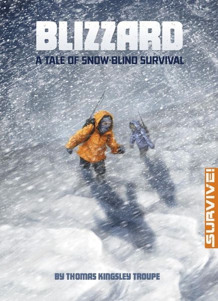 Blizzard: A Tale of Snow-blind Survival (eBook, PDF) Blizzard: A Tale of Snow-blind Survival (eBook, PDF)