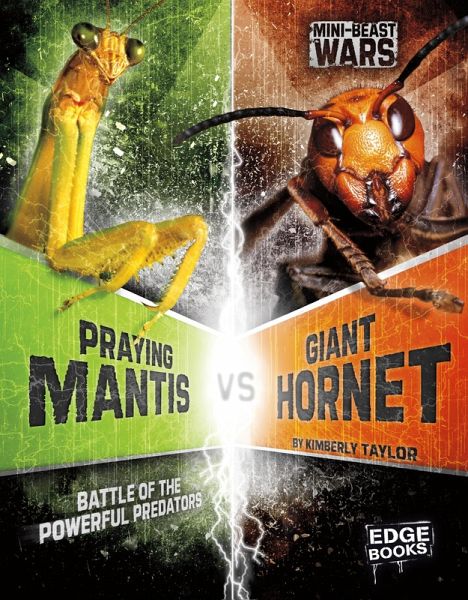 Praying Mantis vs Giant Hornet (eBook, PDF)
