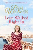 Love Walked Right In (eBook, ePUB)