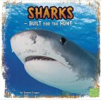 Sharks (eBook, PDF)