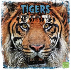 Cover Tigers (eBook, PDF)