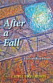 After a Fall (eBook, ePUB)