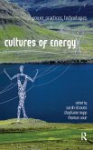 Cultures of Energy (eBook, PDF)