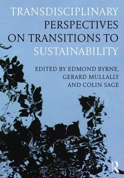 Cover Transdisciplinary Perspectives on Transitions to Sustainability (eBook, ePUB)