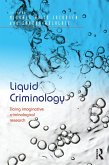 Liquid Criminology (eBook, ePUB)