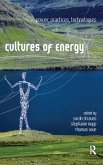 Cultures of Energy (eBook, ePUB)