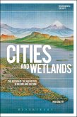 Cities and Wetlands (eBook, ePUB)