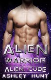Alien Romance: Alien Warrior A SciFi (Science Fiction) Alien Warrior Invasion Abduction Romance (Alien Cube, #1) (eBook, ePUB)