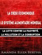 La Crise économique : Système... - Bild 1