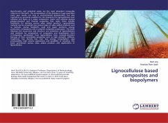 Lignocellulose based composites and biopolymers