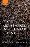 Civil Resistance in the Arab Spring (eBook, ePUB)