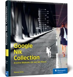 Cover Google Nik Collection
