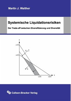 Systemische Liquidationsrisiken - Walther, Martin J.