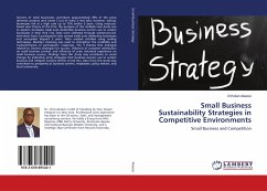 Small Business Sustainability Strategies in Competitive Environments