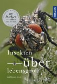 Insekten überlebensgroß (eBook, PDF)