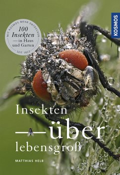 Insekten überlebensgroß (eBook, PDF) - Helb, Matthias