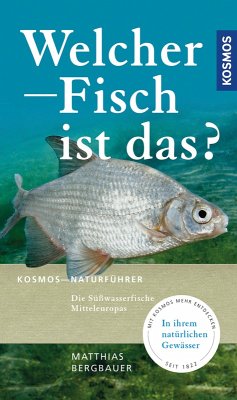 Welcher Fisch ist das? (eBook, PDF) - Bergbauer, Matthias