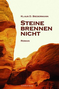 Steine brennen nicht (eBook, ePUB) - Biedermann, Klaus D.