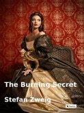 The burning secret (eBook, ePUB)