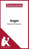 Angor de Franck Thilliez (Fiche de lecture)