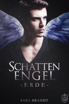 Schattenengel (eBook, ePUB) - Brandt, Sara