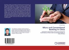 Micro and Conventional Banking in China